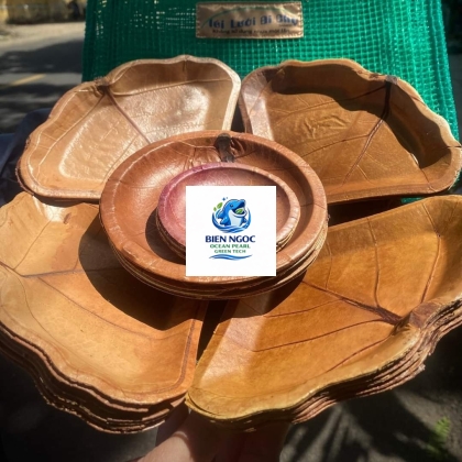 SẢN PHẨM TỪ LÁ BÀN 