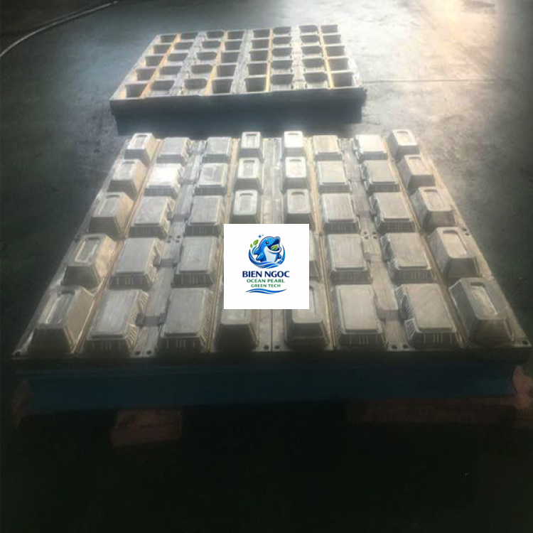 KHUÔN HỘP CƠM MÚT XỐP