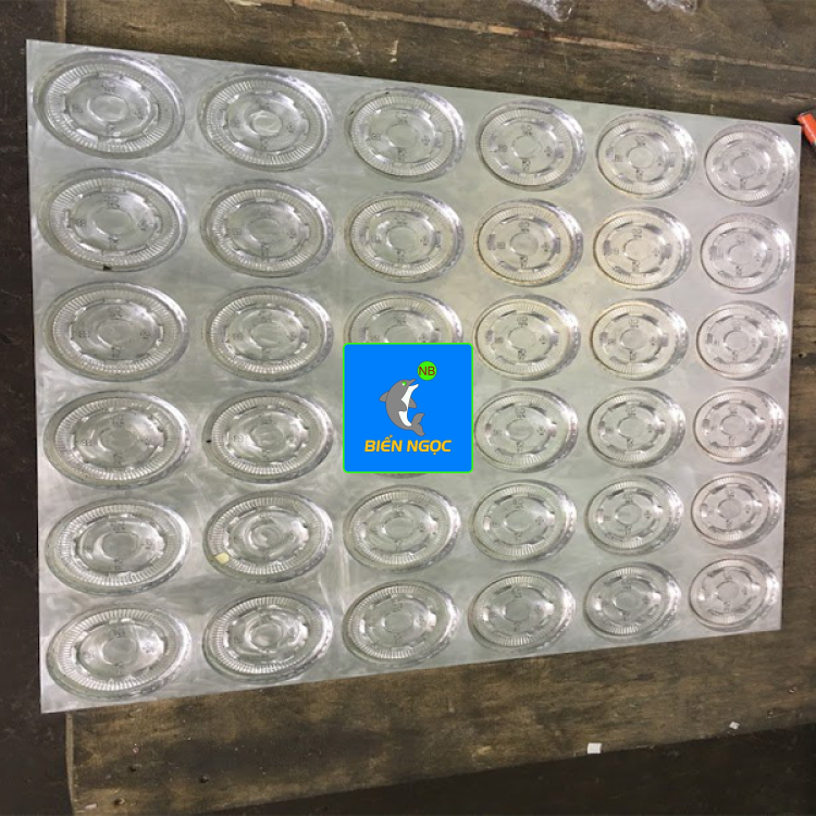 KHUÔN NẮP NƯỚC MÍA