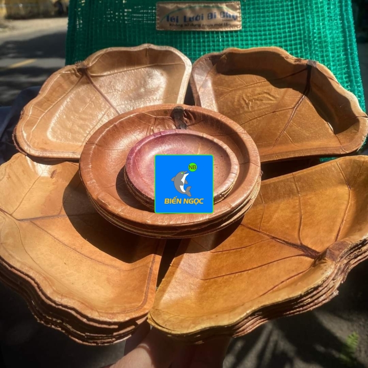 SẢN PHẨM TỪ LÁ BÀN 