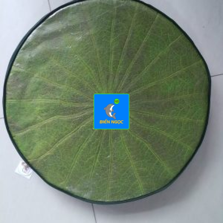 SẢN PHẨM TỪ LÁ SEN 